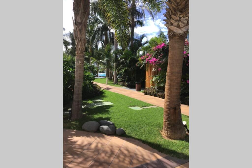 Apartamento Apartamento frente al mar! Playa de las Américas Exterior foto